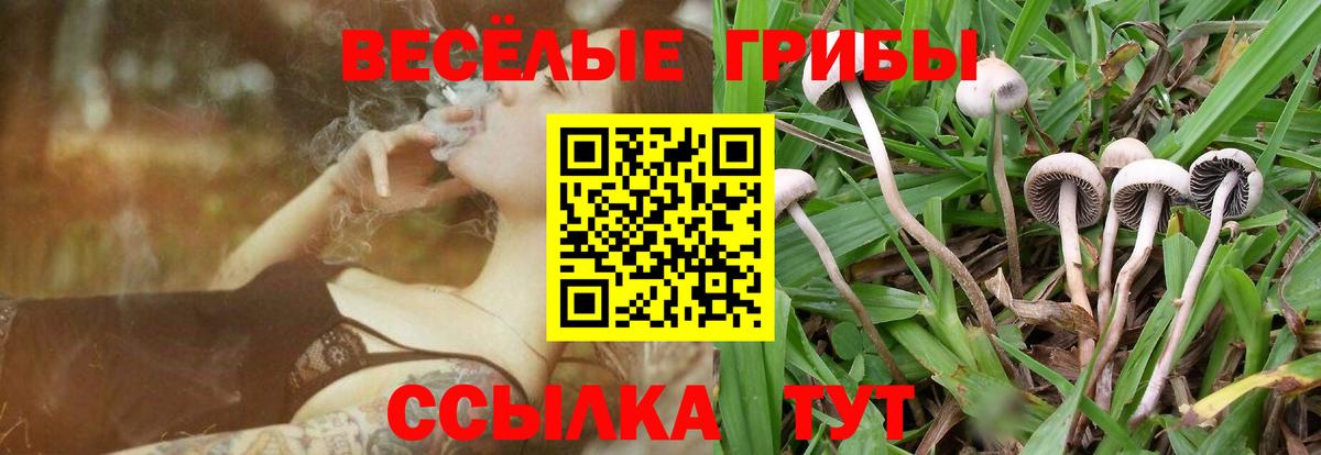 Псилоцибиновые грибы прущие грибы Карачаевск